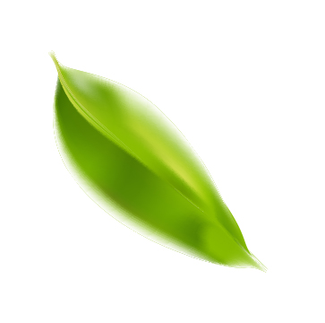 PeliPaper Sürdürülebilirlik